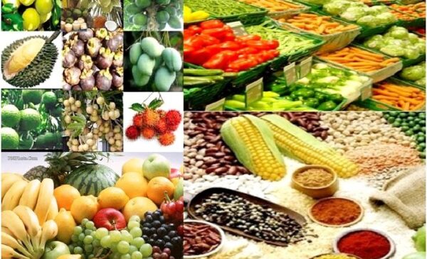 agro-products-vietnam-716x500